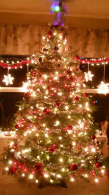 Home Christmas Trees for 2012